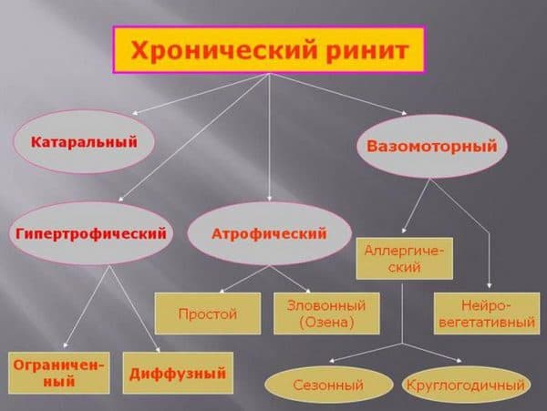Як вилікувати хронічний нежить у дорослого і закладеність носа
