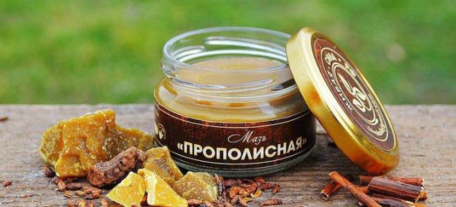 Як застосовувати мазь Прополісу при кашлі