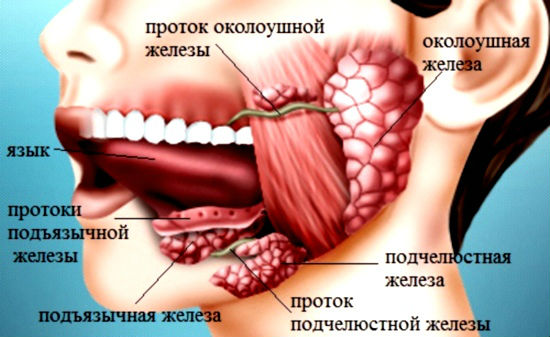 Захворювання слинних залоз: симптоми і лікування