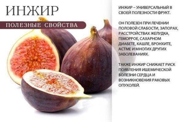 Запор у літніх людей народні засоби