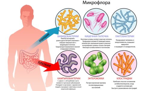 Заразний цистит як передається це захворювання