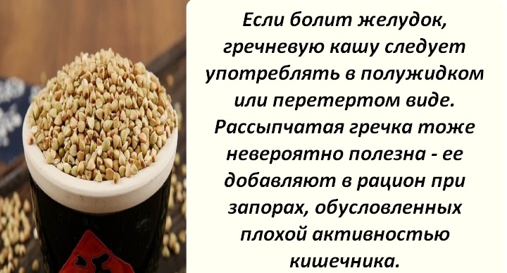 Зелена гречка — користь та шкоду, як приготувати, чим відрізняється від звичайної