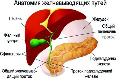 Жовч в шлунку після видалення жовчного міхура лікування