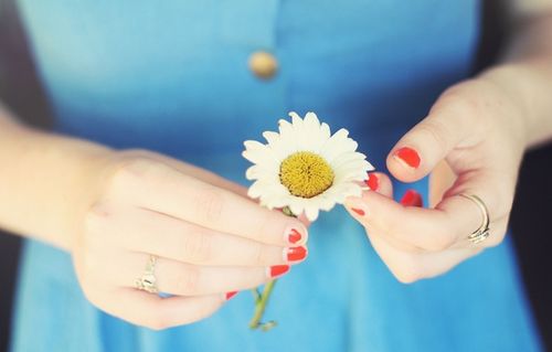 Дієта ромашка: 6 пелюсток