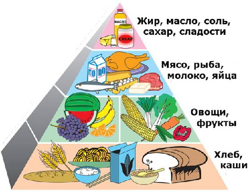 Правила здорового харчування
