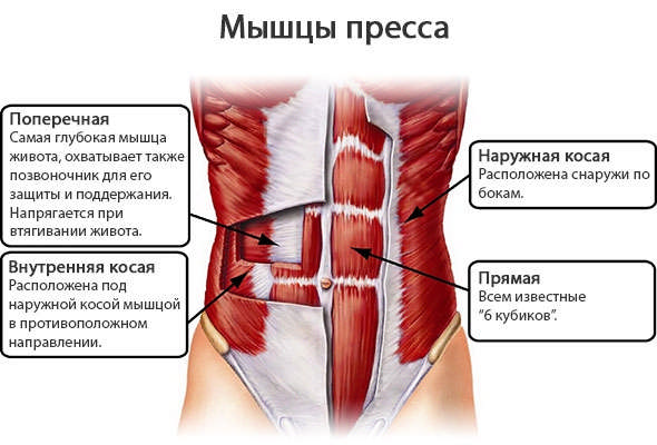 Вправа вакуум для плоского животика і осикою талії